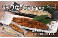 宮崎県産 うなぎ 白焼き 蒲焼き 2尾セット K10_0008_3 