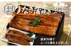 宮崎県産 うなぎ 蒲焼き 2尾セット K10_0007_3 