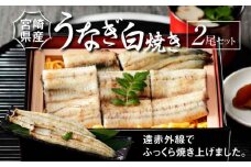 宮崎県産 うなぎ 白焼き 2尾セット K10_0006_3 