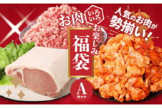 福袋 木城町 お肉いろいろお楽しみセットA  K16_0069_3