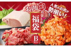 福袋 木城町 お肉いろいろお楽しみセットB  K16_0070_3