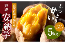 【先行予約】農家直送 木城町産 熟成安納いも5kg K30_0001_1