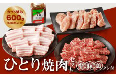 宮崎県産焼肉３種セット【タレ付き】(牛・豚・鶏) 計６００g  カット済み  K16_0079_1