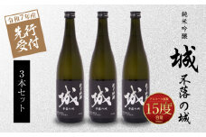  【先行予約】令和7年産 木城町・毛呂山町 新しき村友情都市コラボ 日本酒 純米吟醸「城 ～不落の城」3本  K21_0040