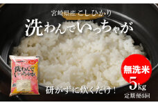 無洗米コシヒカリ 洗わんでいっちゃが５kg✕６回定期便  計30kg K23_T007_1