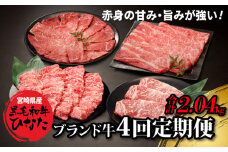4回定期便 宮崎県産 ブランド牛「黒毛和牛ひなた」 K34_T002_1
