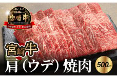宮崎牛 肩(ウデ) 焼肉500g  K18_0017_6