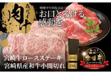 宮崎牛 ロースステーキ500g 宮崎県産和牛小間切れ200g K18_0034_5