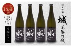 【訳あり】「令和6年産」 木城町・毛呂山町 新しき村友情都市コラボ 日本酒 純米吟醸「城 ～不落の城」4本 K21_0016_2