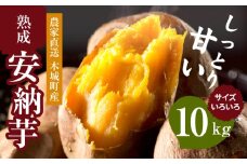 【先行予約】農家直送 木城町産 熟成安納いも10kg K30_0002_1