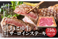 JAこゆ牛 特選木城産 サーロインステーキ 750g_K56_0001