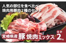 焼肉ミックス(バラ500g×2・肩ロース500g×2)計2kg K16_0120