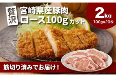 贅沢宮崎県産豚肉ロース100gカット20枚  K16_0150