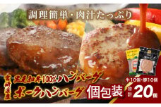 宮崎県産黒毛和牛100%ハンバーグ個包装(10個/冷凍)・ 宮崎県産ポークハンバーグ個包装(10個/冷凍) K16_0157