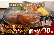 宮崎県産黒毛和牛100%ハンバーグ(10個/冷凍)　K16_0160