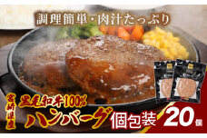 宮崎県産黒毛和牛100%ハンバーグ(20個/冷凍) K16_0161
