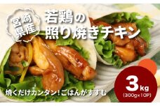 宮崎県産若鶏の照り焼きチキン 小分け 3kg K16_0166