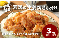 宮崎県産若鶏の生姜焼き 小分け 3kg K16_0132