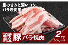 宮崎県産豚バラ焼肉 2kg K16_0187
