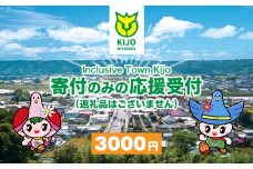 【宮崎県木城町】寄付のみの応援受付(返礼品はございません) 3000円_ K00_0005