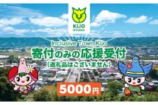 【宮崎県木城町】寄付のみの応援受付(返礼品はございません) 5000円_ K00_0006