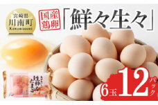 宮崎県産たまご　鮮々生々セット　【たまご 卵 玉子 タマゴ 料理 鶏卵 オムレツ オムライス 卵かけご飯 たまご焼き 国産 すき焼き おいしい卵 黄身 新鮮 生卵 産みたて 鮮度 弾力 ハリ ツヤ 生 人気 毎日 自然】