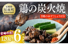宮崎の技セット