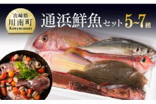 『日向灘海の幸』 通浜鮮魚セット 【 魚介類 鮮魚 魚 詰め合わせ 】