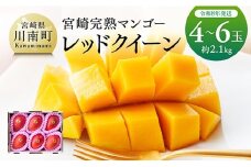 【令和8年発送】宮崎県産完熟マンゴー　「レッドクイーン」4～6玉 【 果物 フルーツ マンゴー 宮崎県産 完熟マンゴー みやざきマンゴー 先行予約 数量限定 期間限定 】