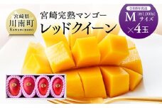 【令和8年発送】宮崎県産完熟マンゴー　「レッドクイーン」M×4玉 【 果物 フルーツ マンゴー 宮崎県産 完熟マンゴー みやざきマンゴー 先行予約 数量限定 期間限定 】