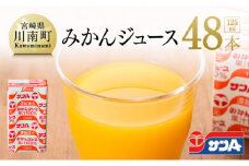 サンAみかんジュース100%　125ml紙パック×24本×2ケース 【 ふるさと納税 飲料 ジュース みかん ミカン 温州みかん 紙パック 川南町 国内産 九州 宮崎県 送料無料 】
