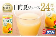 『サンA日向夏ジュース100%』125ml×24本セット
