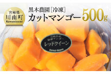 宮崎県産マンゴー　黒木農園の冷凍カットマンゴー（種なし）500g 【 レッドクイーン マンゴー 果物 フルーツ スイーツ 】