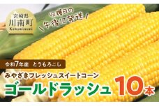 みやざきフレッシュスイートコーン 「ゴールドラッシュ」10本 【 新鮮 朝どれ 農家直送 トウモロコシ 産地直送 期間限定 数量限定 真空予冷 JA 】