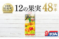 『サンA１日分の12の果実』48本セット