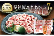 尾鈴豚おすすめセット 【 肉 豚肉 精肉 肉加工品 惣菜 詰め合わせ ロースしゃぶ ロースカツ カタロース バラ 骨付きフランク あらびきウインナー 生ハム ロース 】