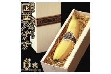 国産バナナNEXT716「6本」レギュラーサイズ