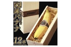 国産バナナNEXT716　レギュラーサイズ「12本」