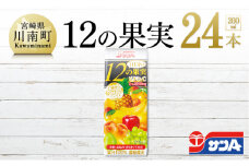サンA１日分の12の果実24本セット