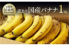 【訳あり】国産バナナ１ｋｇ（10本～13本程度）