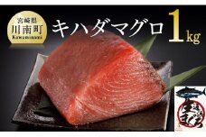 漁協直送！キハダマグロブロック（生）1kg 【 鮪 まぐろ 刺身 マグロ 漬け 新鮮 冷蔵 海の幸 魚介 送料無料 】