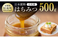 【数量限定】国産はちみつ（百花蜜）500g