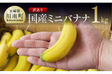 【訳あり】国産ミニバナナ１ｋｇ