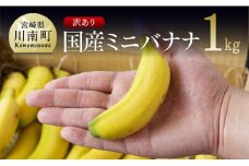 【訳あり】国産ミニバナナ１ｋｇ