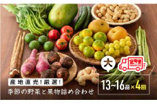 産直　おすず村　厳選詰め合わせセット（大）【定期便】