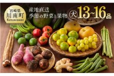 産直　おすず村　厳選詰め合わせセット（大） 【 旬野菜 フルーツ 直売所 産地直送 宮崎県産 】