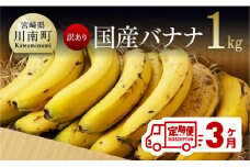 【訳あり】国産バナナ１ｋｇ　3ヶ月定期便