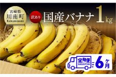 【訳あり】国産バナナ１ｋｇ　6ヶ月定期便
