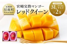 【令和8年発送】宮崎県産完熟マンゴー　「レッドクイーン」3L×2玉 【 果物 フルーツ マンゴー 宮崎県産 完熟マンゴー みやざきマンゴー 先行予約 数量限定 期間限定 】