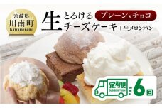 【定期便6回コース】とろける生チーズケーキ（プレーン・チョコ）+メロンパン 【 ケーキ チーズケーキ お菓子 定期便 】